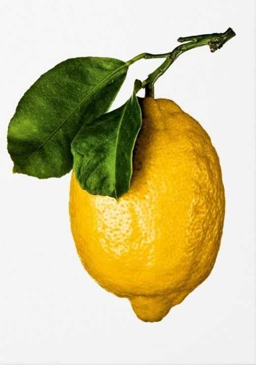 okładka The Gourmand's Lemon wer. angielska książka