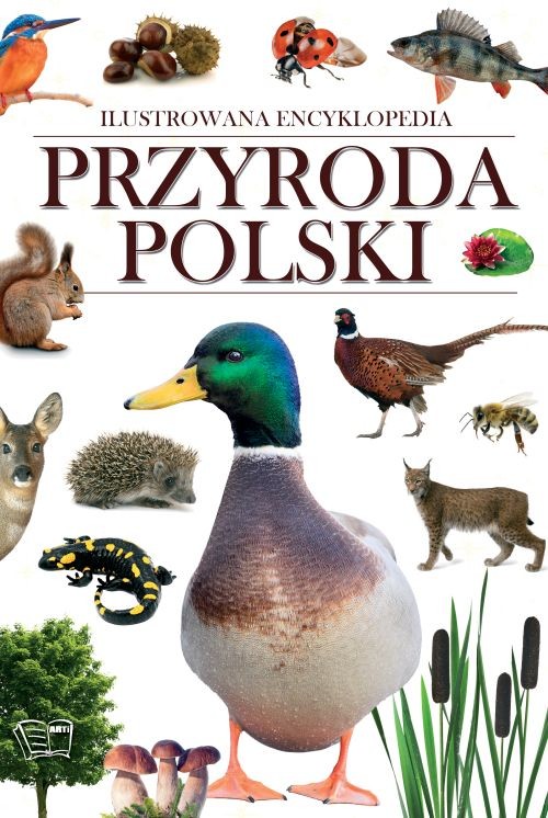 okładka Przyroda Polski. Ilustrowana encyklopedia książka | Opracowanie zbiorowe
