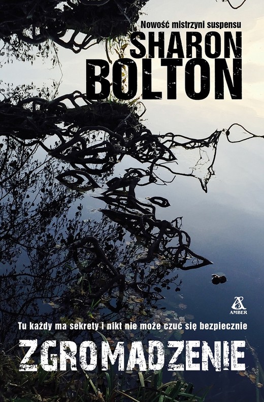 okładka Nad jeziorem książka