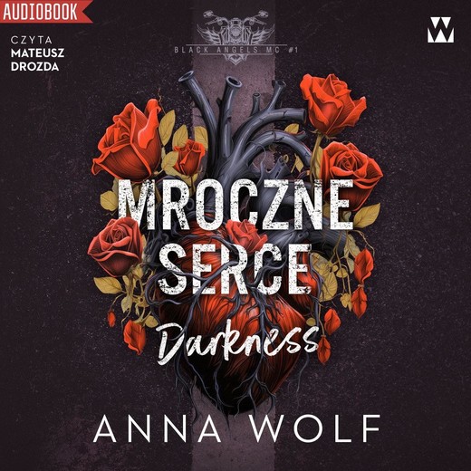 okładka Mroczne serce. Darkness audiobook | MP3 | Anna Wolf