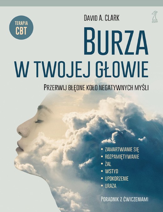 okładka BURZA W TWOJEJ GŁOWIE ebook | epub, mobi | David A. Clark