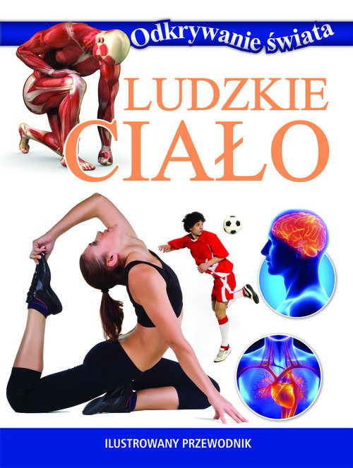 okładka Odkrywanie świata. Ludzkie ciało książka