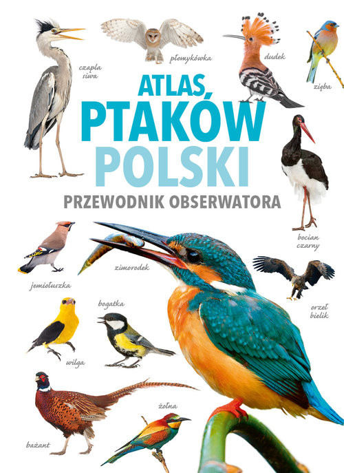 okładka Atlas ptaków Polski książka