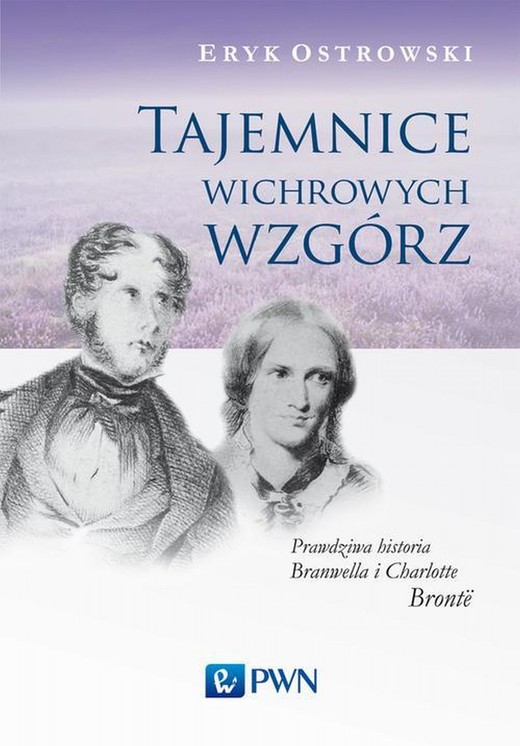 okładka Tajemnice wichrowych wzgórz ebook | epub, mobi | Eryk Ostrowski
