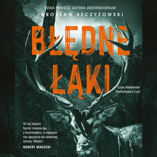 okładka Błędne łąki audiobook | MP3 | Jarosław Szczyżowski