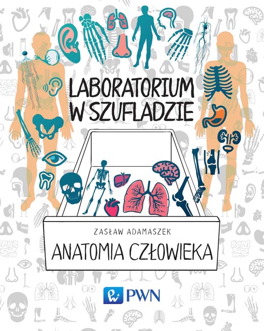 okładka Laboratorium w szufladzie. Anatomia człowieka ebook | epub, mobi | Zasław Adamaszek