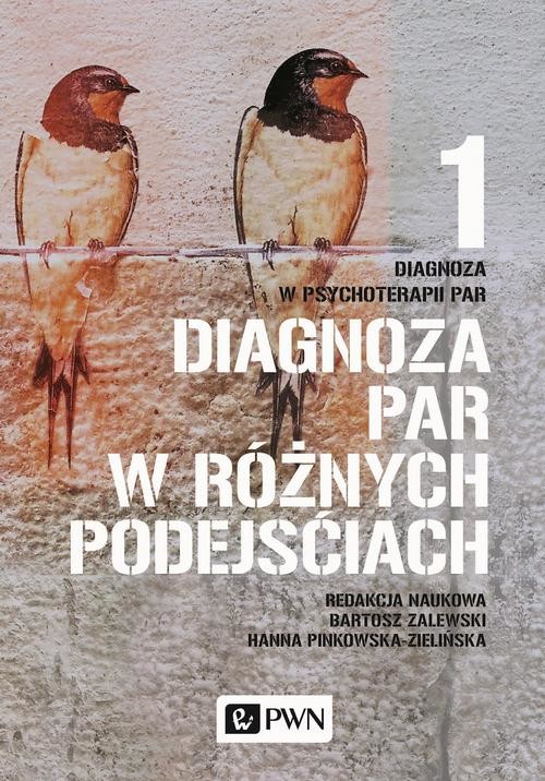 okładka Diagnoza w psychoterapii par. Tom 1. Diagnoza par w różnych podejściach ebook | epub, mobi | Opracowania Zbiorowe