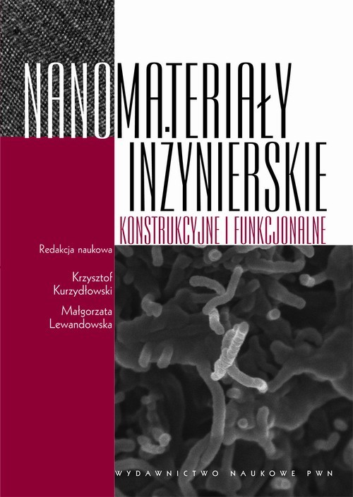okładka Nanomateriały inżynierskie konstrukcyjne i funkcjonalne ebook | pdf