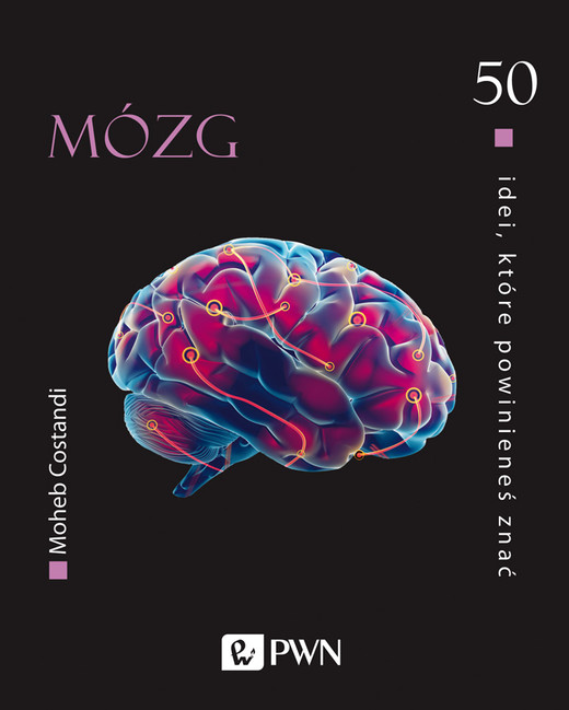 okładka 50 idei, które powinieneś znać Mózg ebook | epub, mobi | Moheb Costandi