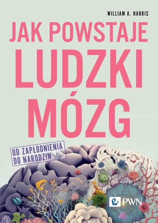 okładka Jak powstaje ludzki mózg Od zapłodnienia do narodzin ebook | epub, mobi | William A. Harris