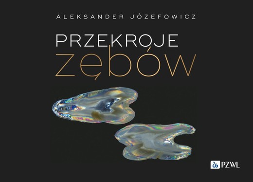 okładka Przekroje zębów ebook | epub, mobi | Aleksander Józefowicz