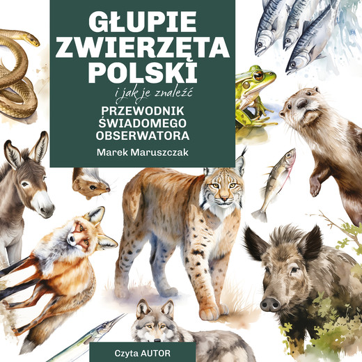 okładka Głupie zwierzęta Polski i jak je znaleźć. Przewodnik świadomego obserwatora audiobook | MP3 | Maruszczak Marek