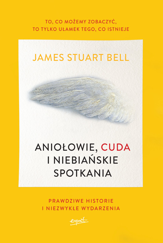 okładka Aniołowie, cuda i niebiańskie spotkania ebook | epub, mobi | James Stuart Bell