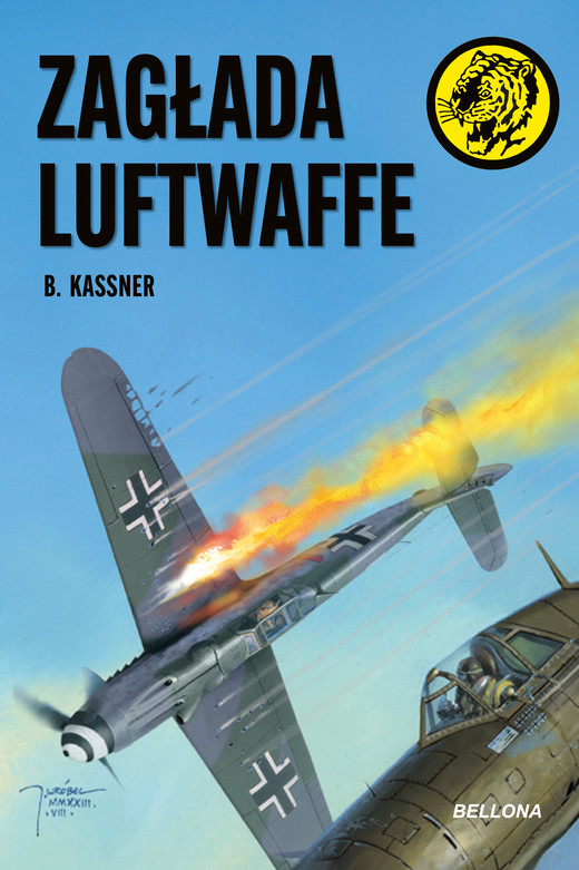 okładka Zagłada Luftwaffe ebook | epub, mobi | B. Kassner