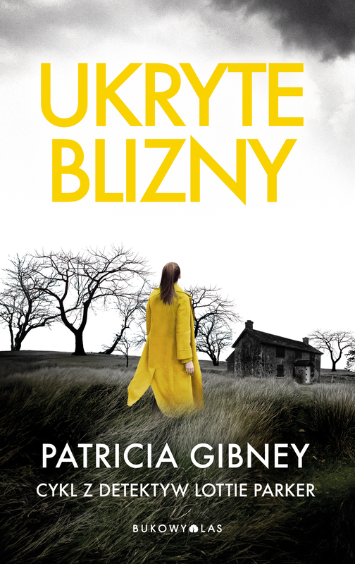 okładka Ukryte blizny. Cykl z detektyw Lottie Parker ebook | epub, mobi | Patricia Gibney