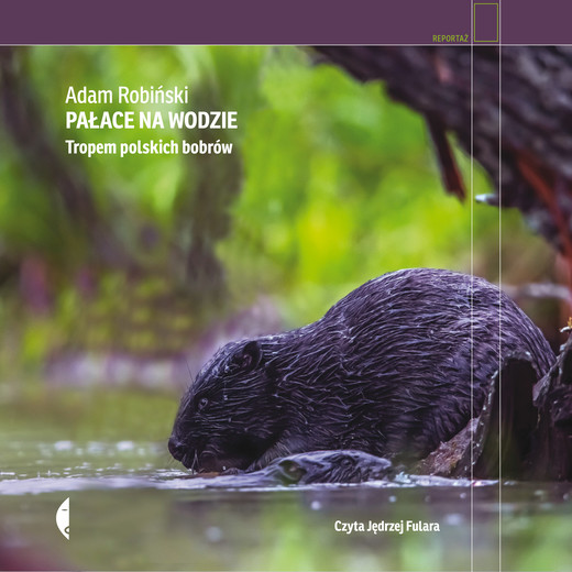 okładka Pałace na wodzie audiobook | MP3 | Adam Robiński