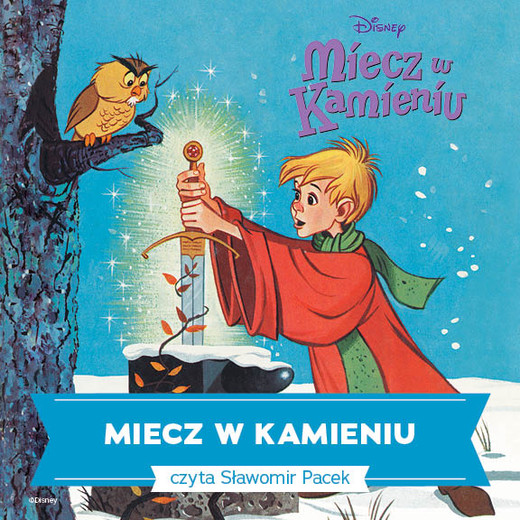 okładka Miecz w kamieniu audiobook | MP3