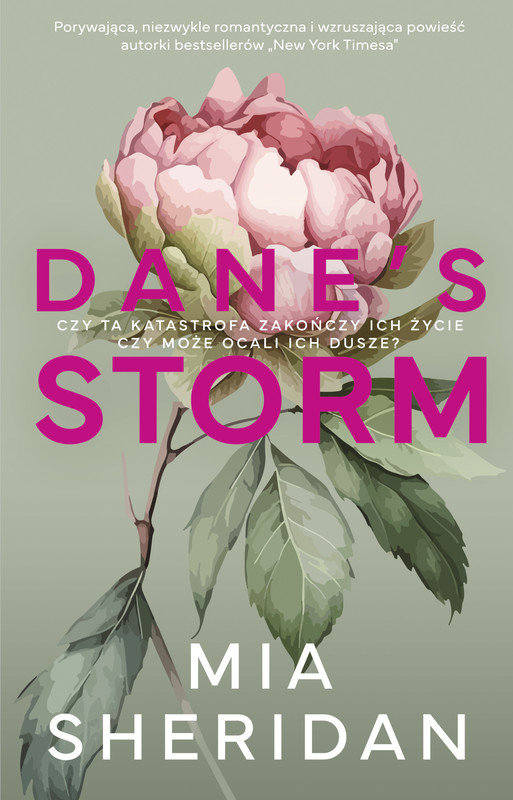 okładka Dane's Storm ebook | epub, mobi | Mia Sheridan