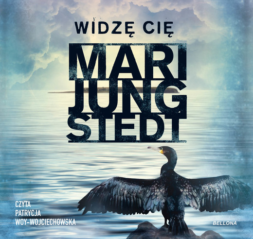 okładka Widzę cię audiobook | MP3 | Mari Jungstedt