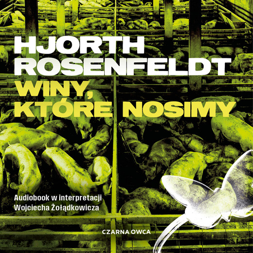 okładka Winy, które nosimy audiobook | MP3 | Hans Rosenfeldt, Michael Hjorth