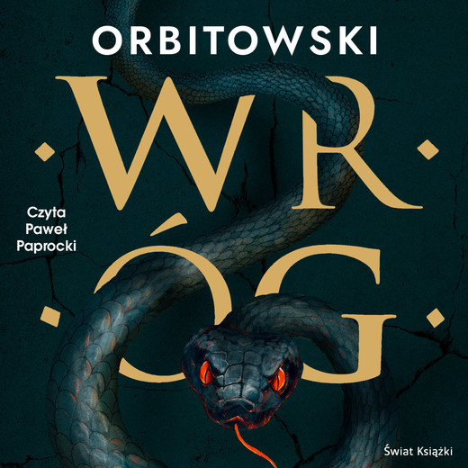 okładka Wróg audiobook | MP3 | Łukasz Orbitowski