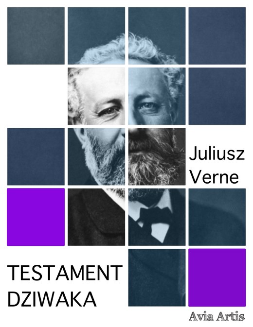 okładka Testament dziwaka ebook | epub, mobi | Juliusz Verne