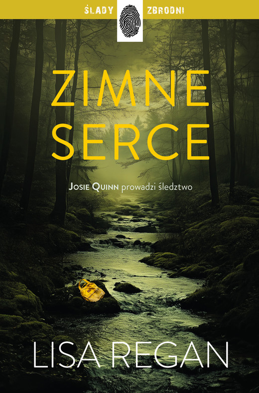 okładka Zimne serce ebook | epub, mobi | Lisa Regan