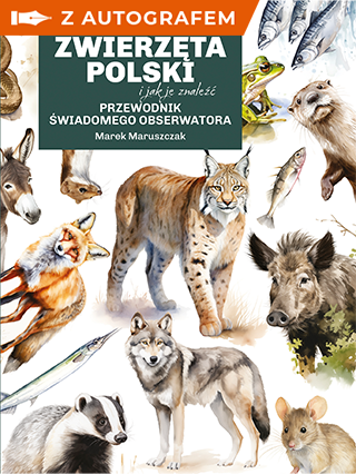 okładka Głupie zwierzęta Polski i jak je znaleźć. Przewodnik świadomego obserwatora - książka z autografem książka | Marek Maruszczak