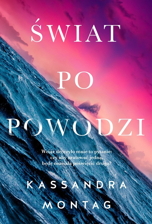 okładka Świat po powodzi ebook | epub, mobi | Montag Kassandra