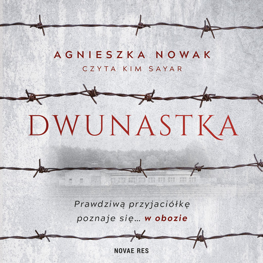 okładka Dwunastka audiobook | MP3 | Agnieszka Nowak