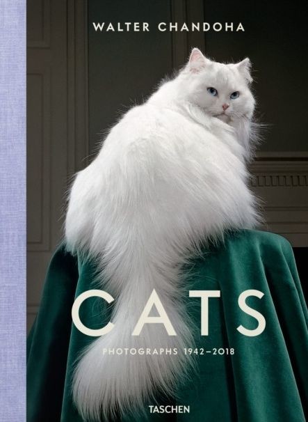 okładka Walter Chandoha. Cats. Photographs 1942–2018 wer. angielska książka