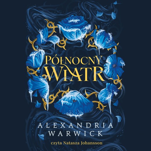 okładka Północny Wiatr audiobook | MP3 | Alexandria Warwick