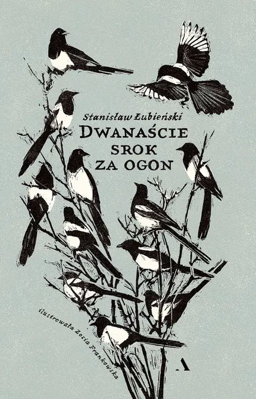 okładka Dwanaście srok za ogon ebook | epub, mobi | Stanisław Łubieński