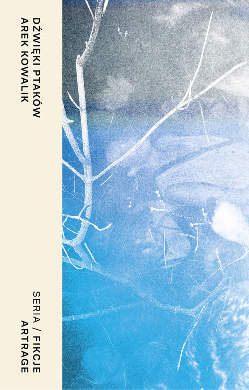 okładka Dźwięki ptaków książka