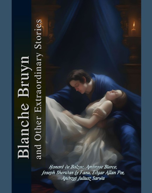 okładka Blanche Bruyn – The Succubus and Other Extraordinary Stories ebook | epub, mobi | Anthology Nie znaleziono nazwiska autora