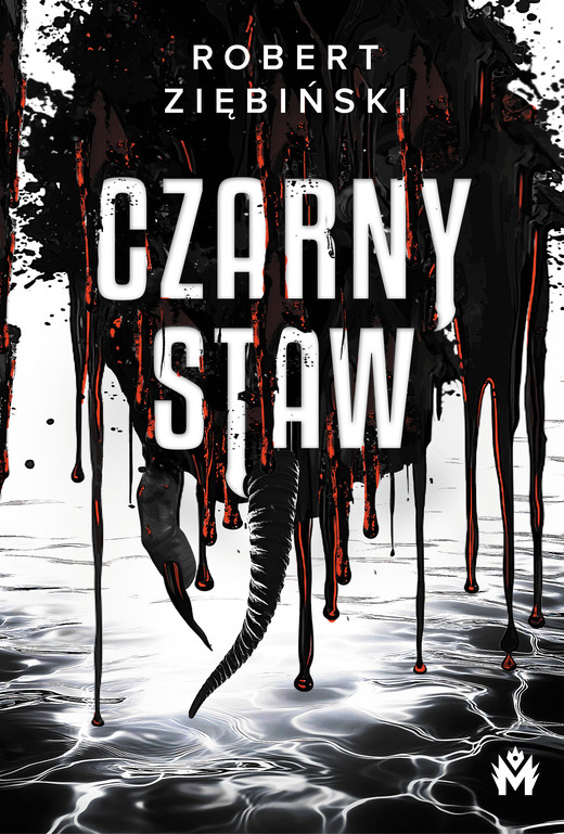 okładka Czarny Staw ebook | epub, mobi | Robert Ziębiński