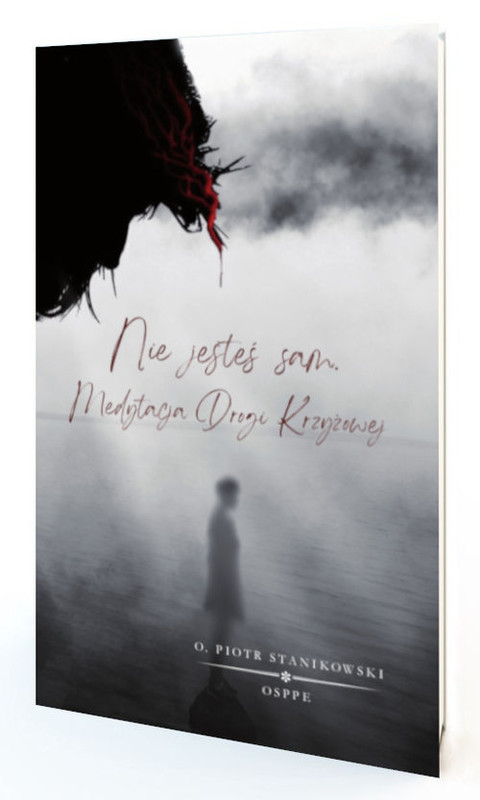 okładka Nie jesteś sam. Medytacja Drogi Krzyżowej. książka