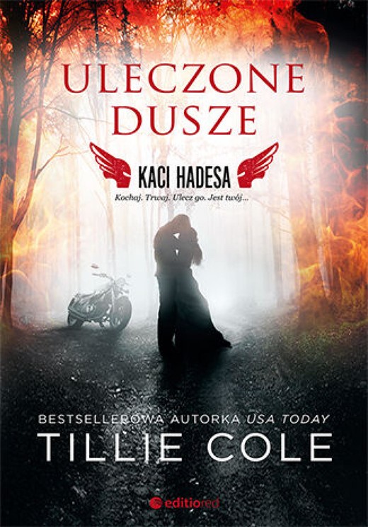 okładka Uleczone dusze. Kaci Hadesa ebook | epub, mobi, pdf | Tillie Cole