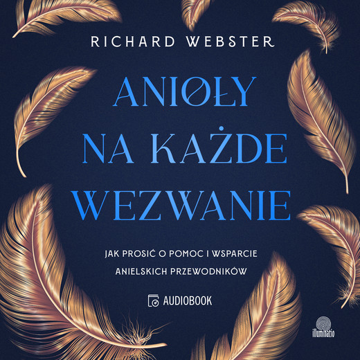 okładka Anioły na każde wezwanie. Jak prosić o pomoc i wsparcie anielskich przewodników audiobook | MP3 | Richard Webster