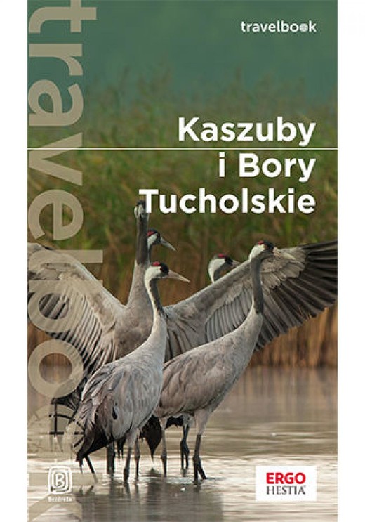 okładka Kaszuby i Bory Tucholskie. Travelbook. Wydanie 2 ebook | epub, mobi, pdf | Malwina Flaczyńska, Artur Flaczyński