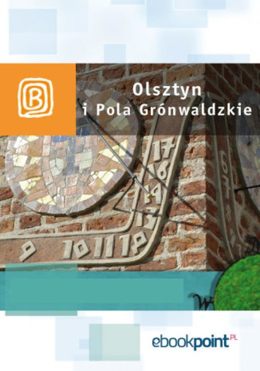 okładka Olsztyn i Pola Grunwaldzkie. Miniprzewodnik ebook | epub, mobi | Praca Zbiorowa