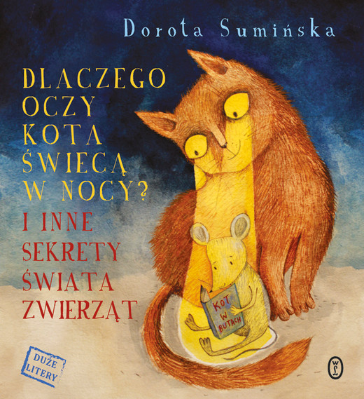 okładka Dlaczego oczy kota świecą w nocy? ebook | epub, mobi | Dorota Sumińska