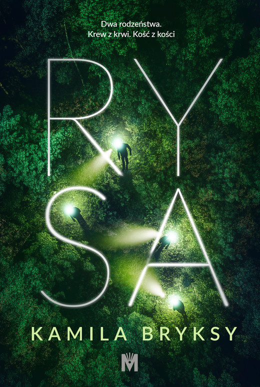 okładka Rysa ebook | epub, mobi | Kamila Bryksy