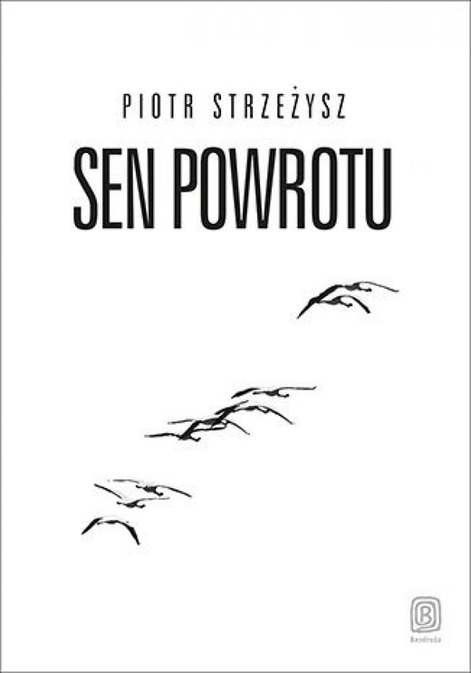 okładka Sen powrotu ebook | epub, mobi, pdf | Piotr Strzeżysz