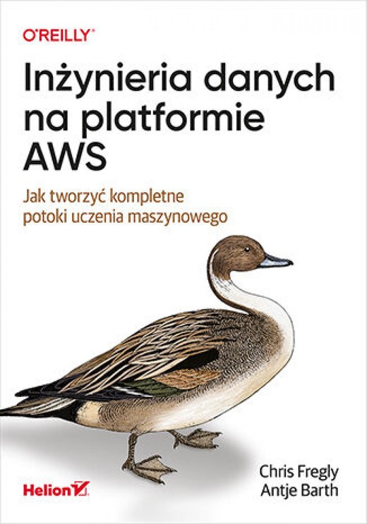 okładka Inżynieria danych na platformie AWS. Jak tworzyć kompletne potoki uczenia maszynowego ebook | epub, mobi, pdf | Chris Fregly, Antje Barth