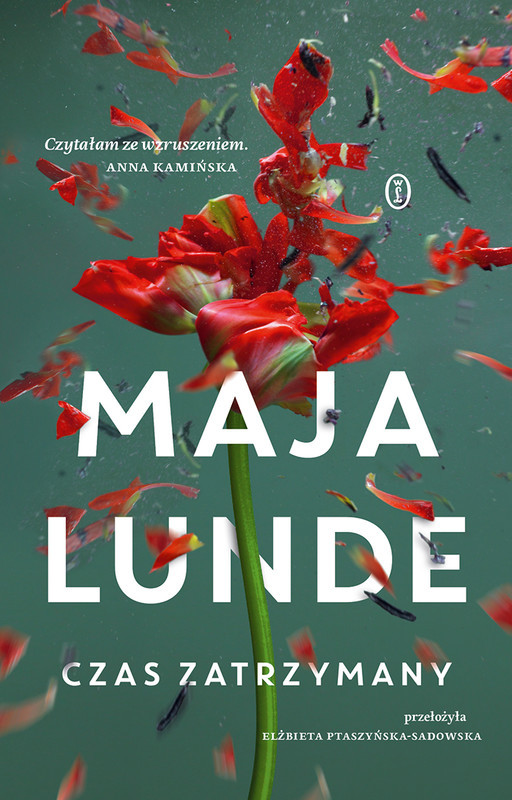 okładka Czas zatrzymany ebook | epub, mobi | Maja Lunde