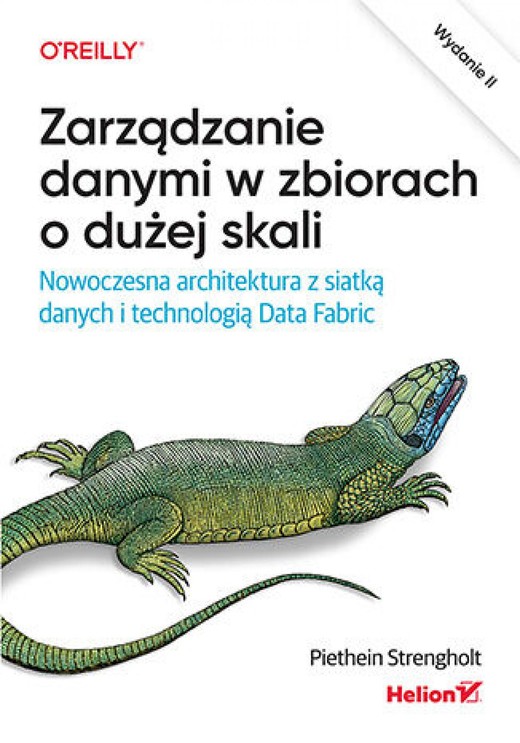 okładka Zarządzanie danymi w zbiorach o dużej skali. Nowoczesna architektura z siatką danych i technologią Data Fabric. Wydanie II ebook | epub, mobi, pdf | Piethein Strengholt