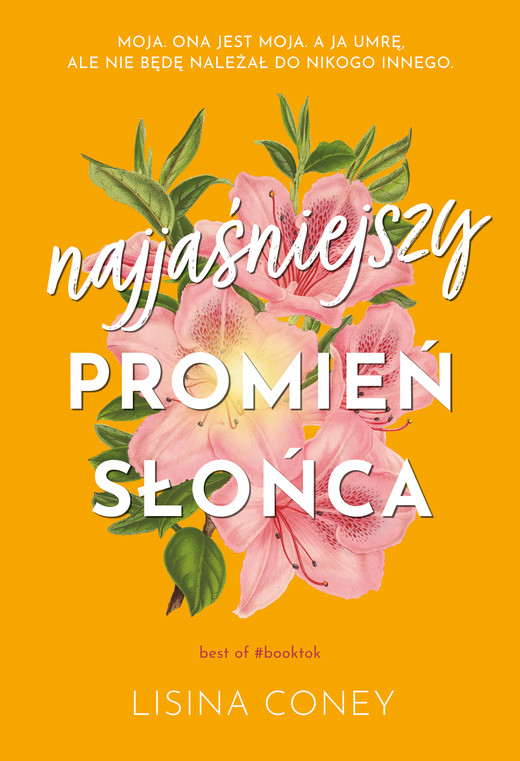 okładka Najjaśniejszy promień słońca ebook | epub, mobi | Lisina Coney