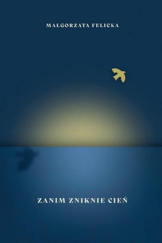 okładka Zanim zniknie cień książka