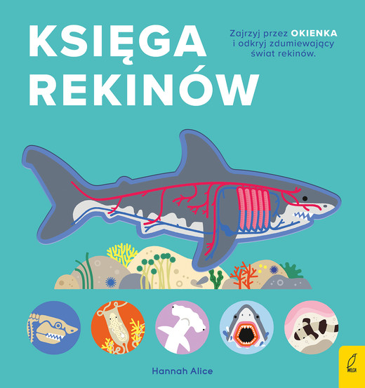okładka Księga rekinów. Encyklopedia z folią książka | Opracowanie zbiorowe